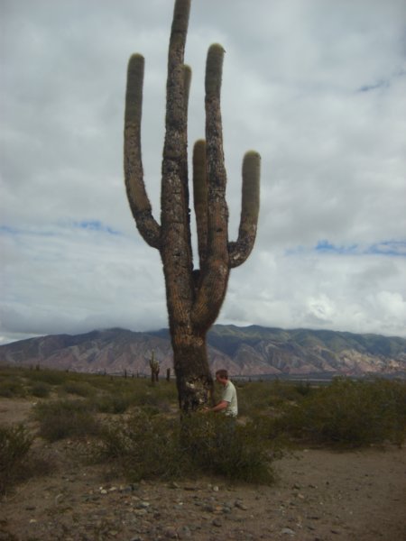 Sam Hugging a Cactus