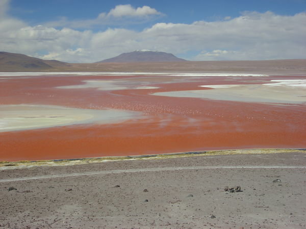 The Red Lagoon