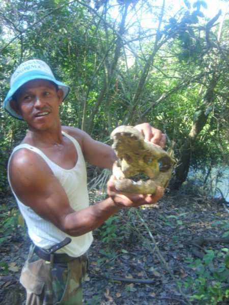 Our guide and a dead Caiman Head