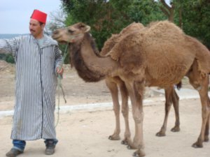 Marocco june 2007