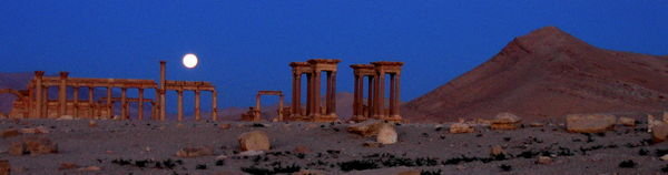 Palmyra dawn 1