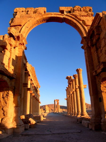 Palmyra dawn 3