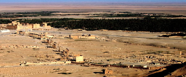 view of Palmyra from the castle