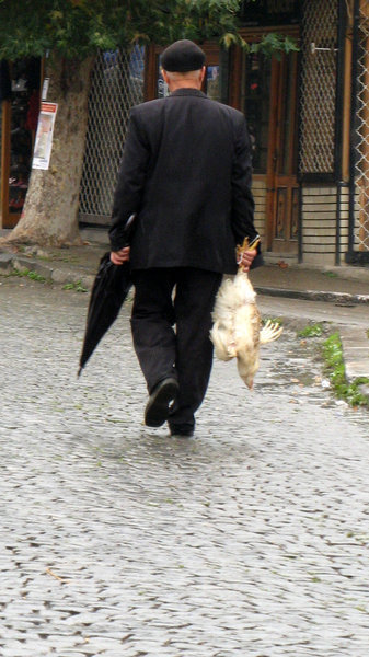 an umbrella and a chicken