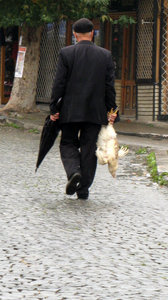an umbrella and a chicken