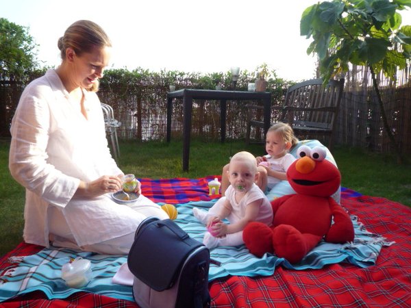 Elmo's picnic adventure