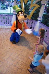 Disneyland - Goofy I