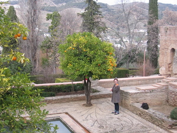 Generalife- Gardens at the Alhambra