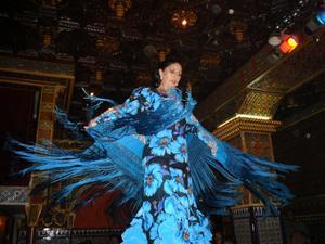 Flamenco Dancer 4