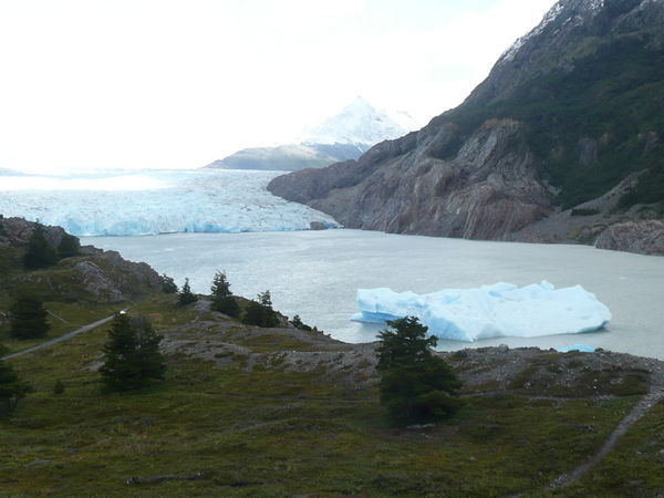 Glaciar Grey