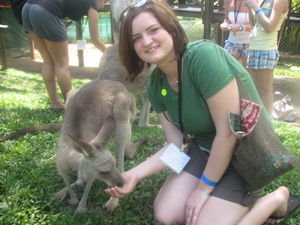me feeding a wallaby in cairns