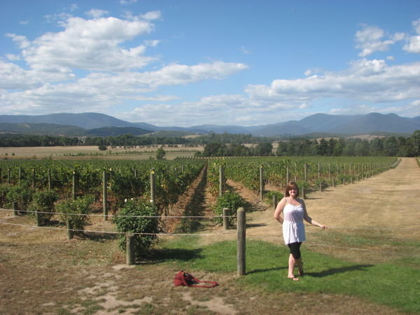 me in the vinyard at chandon