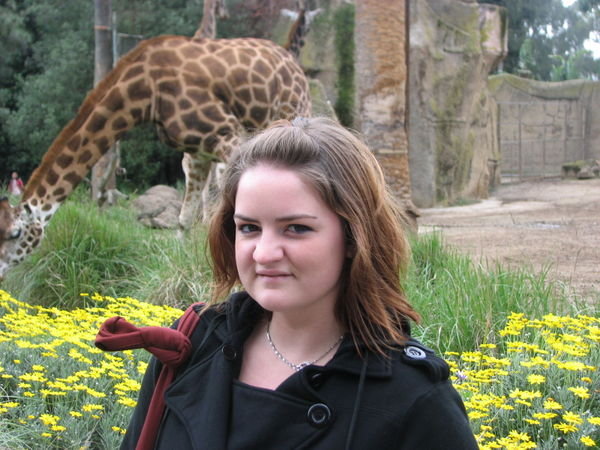 me with the giraffe @ melbourne zoo