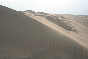 Dunes in the early evening