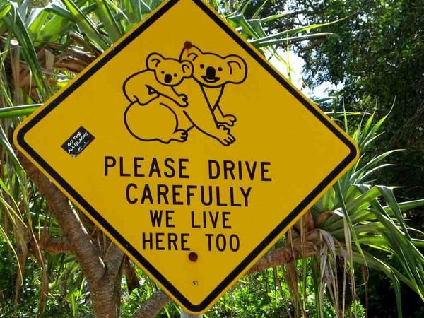 Koala notice
