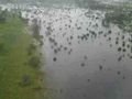Floods from plane in Rockhampton