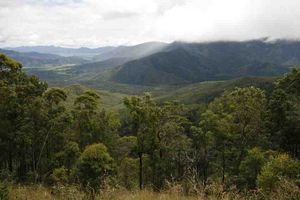 View from Gillies Range | Photo