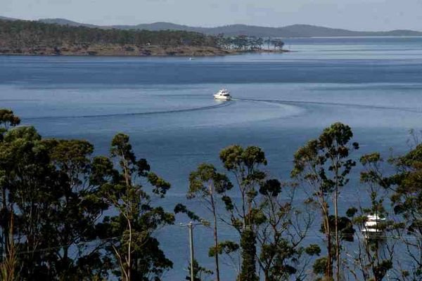 Looking back at Bruny