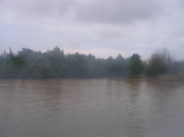 View of the river bank from boat