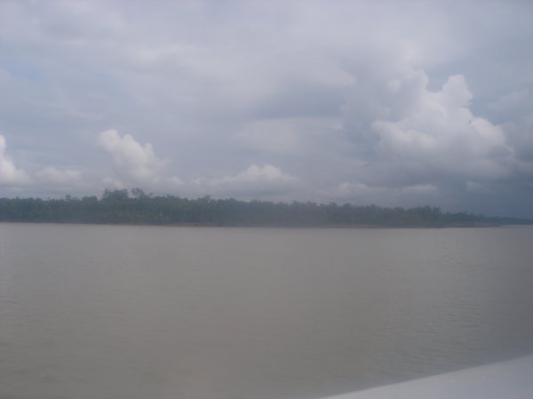 View of river bank from boat (2)