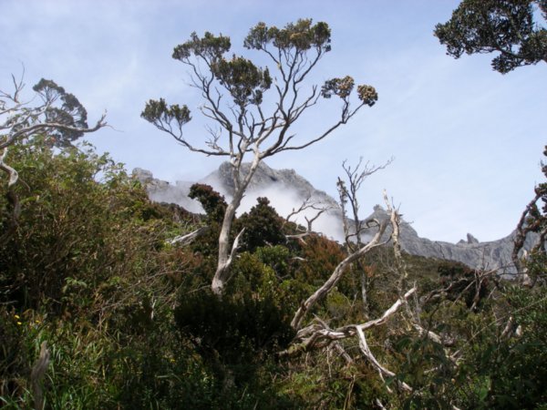 Mt Kinabalu (9)