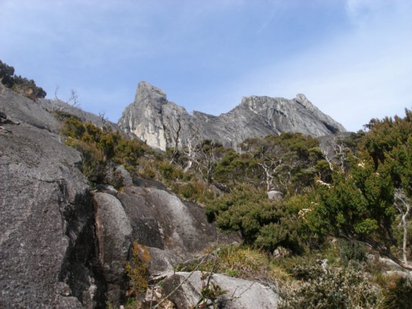 Mt Kinabalu (13)