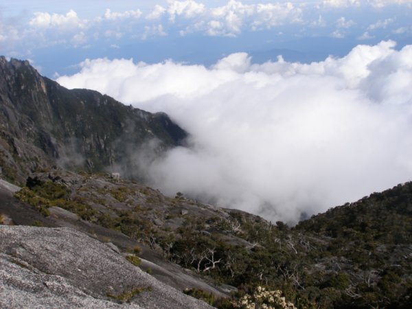 Mt Kinabalu (15)