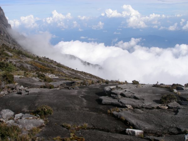 Mt Kinabalu (16)