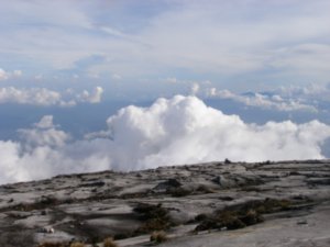Mt Kinabalu (24)