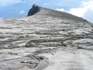 Mt Kinabalu (28)
