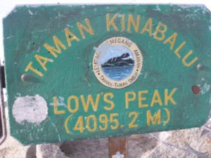 Mt Kinabalu (32)