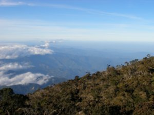Mt Kinabalu (36)