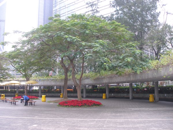 A square in Central