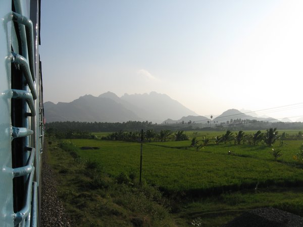 view from the train
