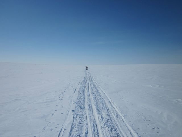skiing in the white arctic