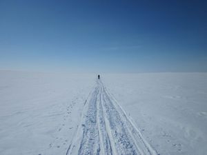 skiing in the white arctic