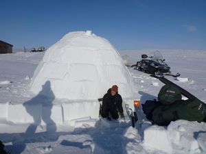 proudly coming out of the igloo