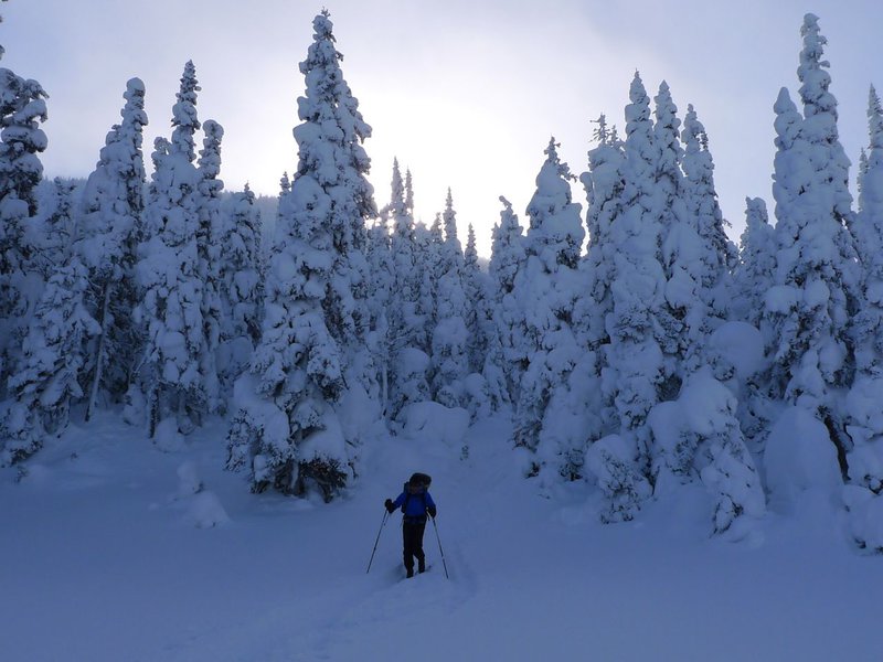 Backcountry skiing: one of my favourite activity