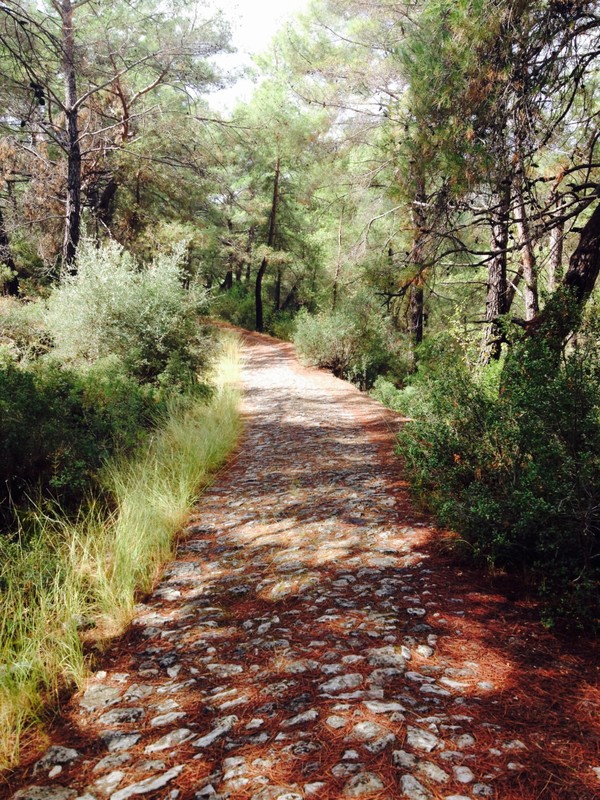 Lycian trail near Kayakoy