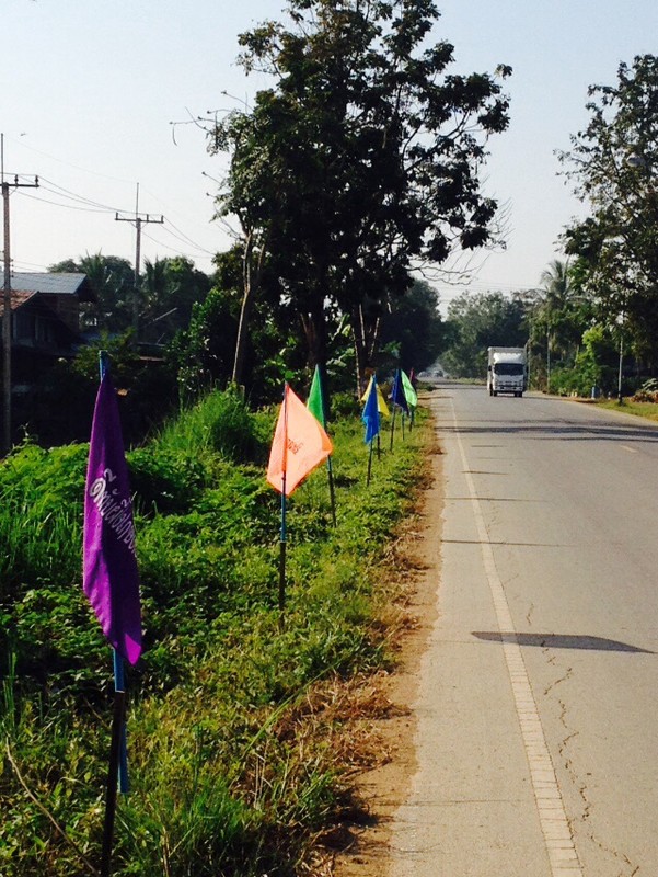 colorful flags along the road
