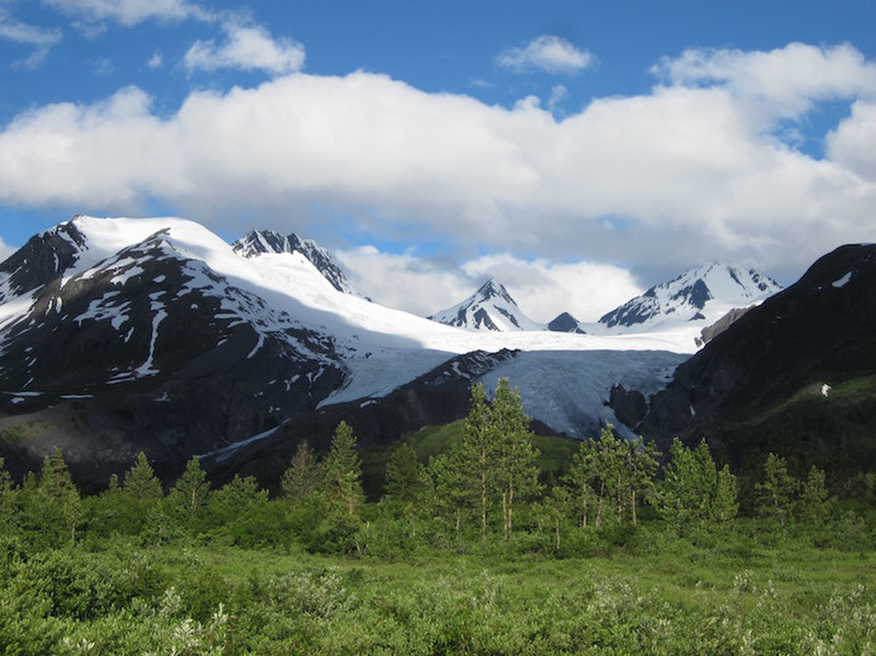 Worthington  Glacier