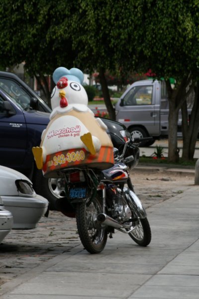 Chicken on a bike