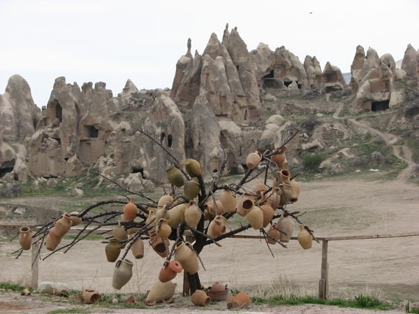 Paysage de Cappadocce et arbre de poteries