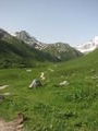 En s'en allant au lac blanc, Alpes