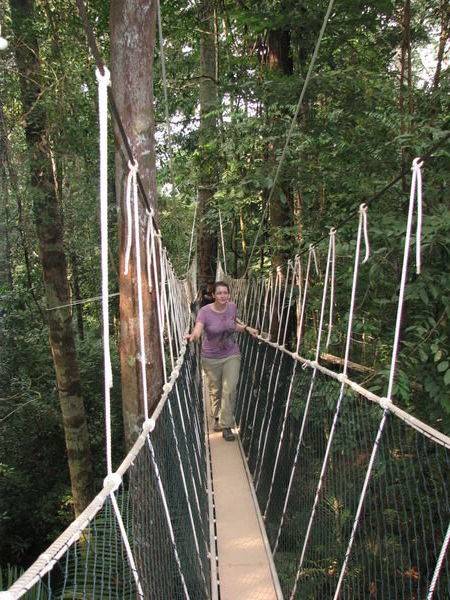 Le pont suspendu!, Taman Negara
