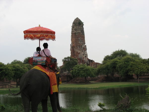 Temple et éléphant, Ayyuthaya