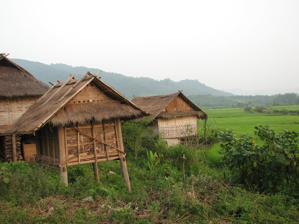 Maison en bambou et riziere, Laos