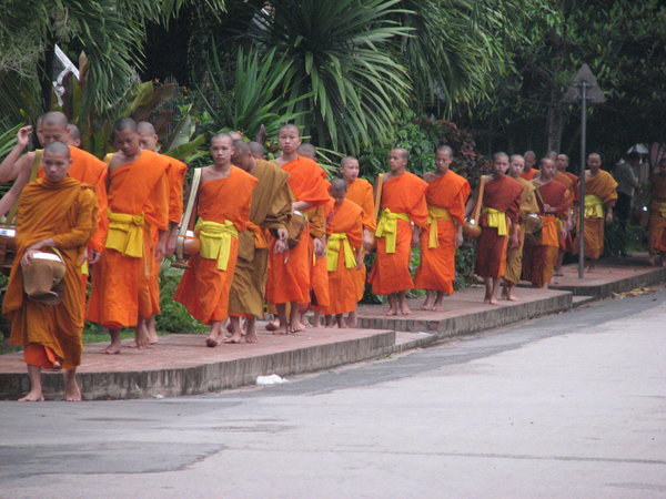 L'arrive des moines a l'offrande du matin, Luang Prabang, Laos