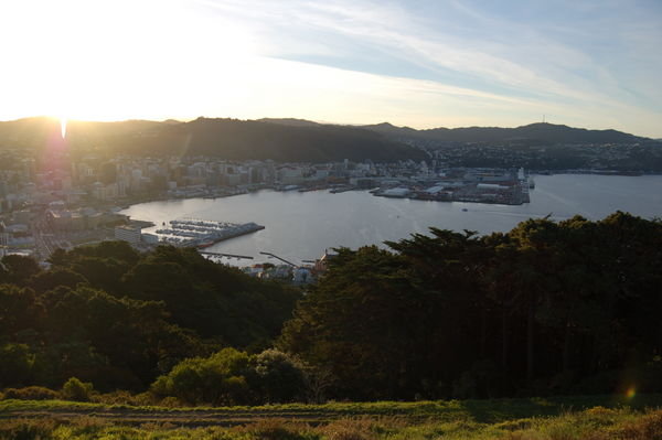 View point of Wellington city