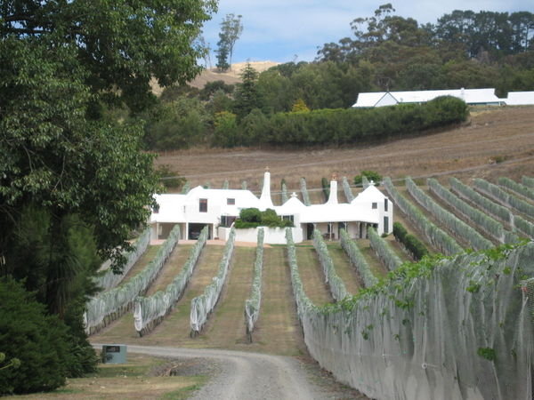 Winery-Hawks Bay